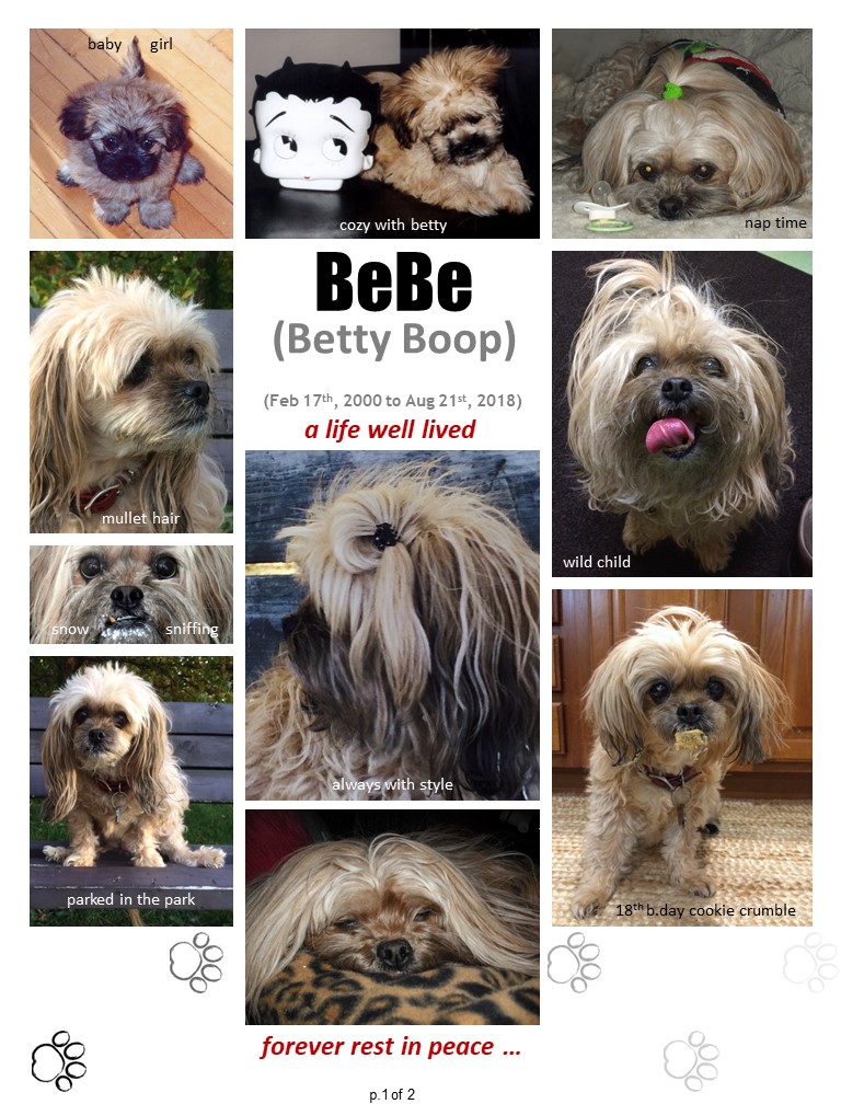 BeBe (BettyBoop)