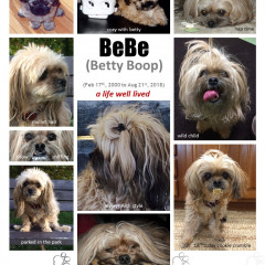 BeBe (BettyBoop)