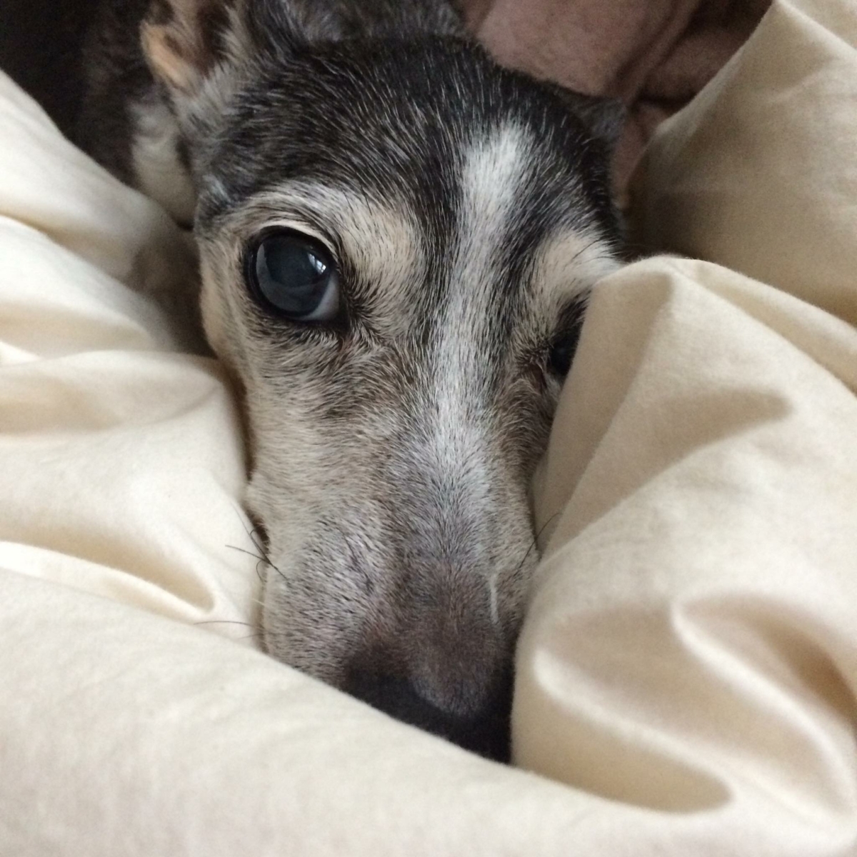 Hadley Jane King-McKusick