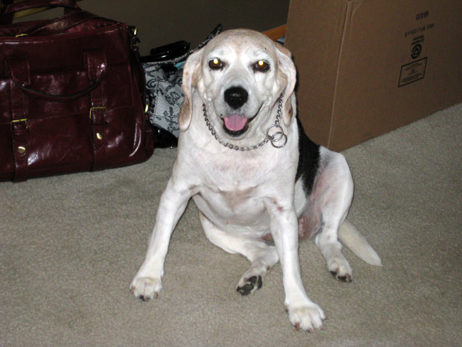 Rainer_DummannFamily